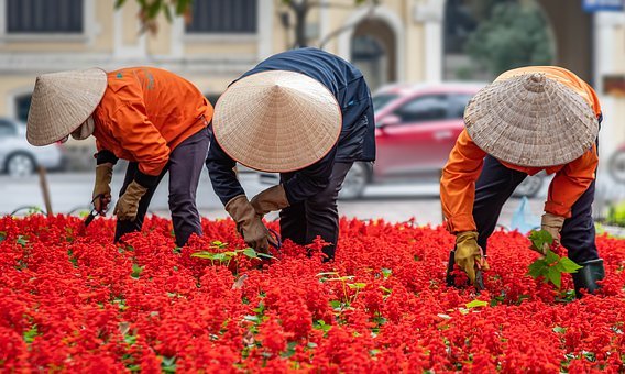 Vietnam