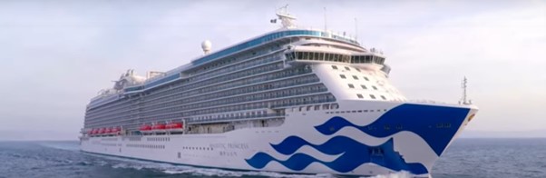 Princess Cruise Disembarks 800 COVID-19-Infected Passengers