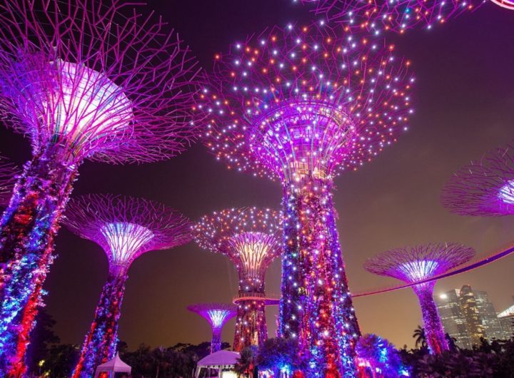 Singapore Christmas Wonderland Is Back