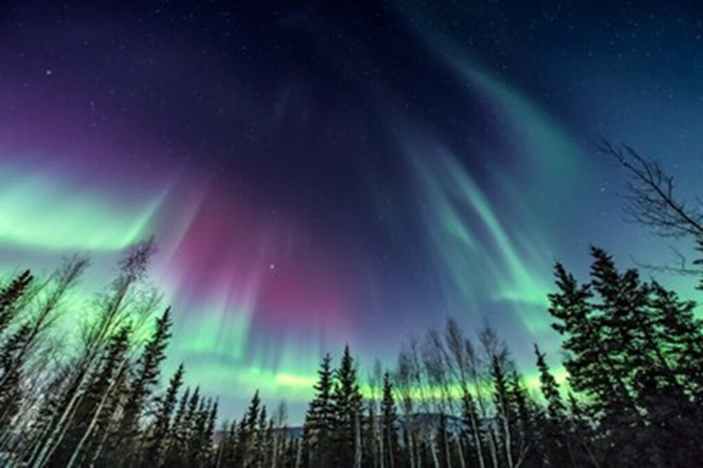 Princess Cruises Offers Northern Lights Experience in the 2024 Alaska Season.