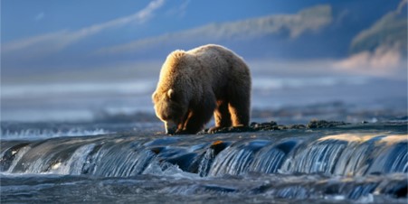 Azamara Cruises: Immersive Alaska Awaits in Summer 2026