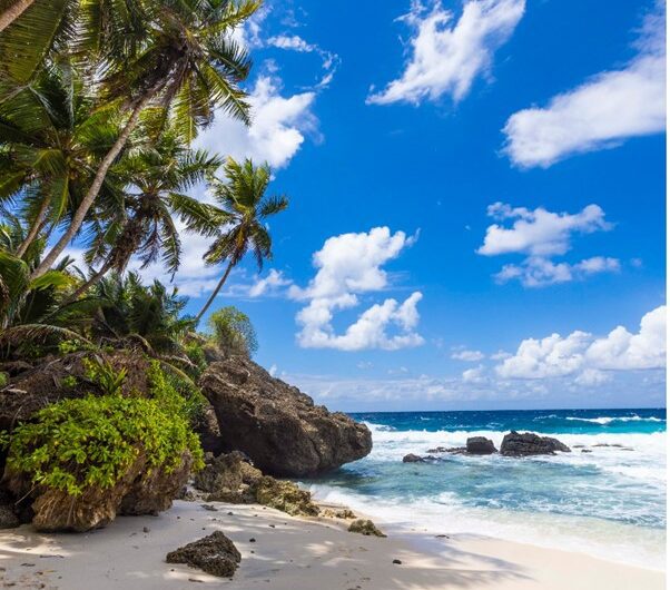 A Trip to Christmas Island: Australia’s Hidden Oasis in the Indian Ocean