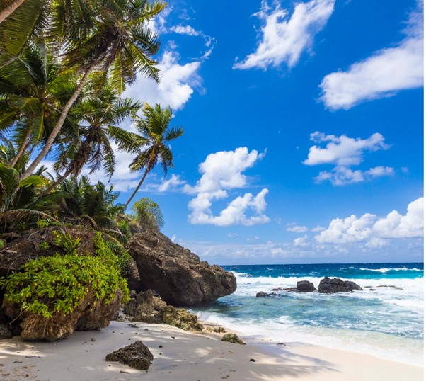 A Trip to Christmas Island: Australia’s Hidden Oasis in the Indian Ocean