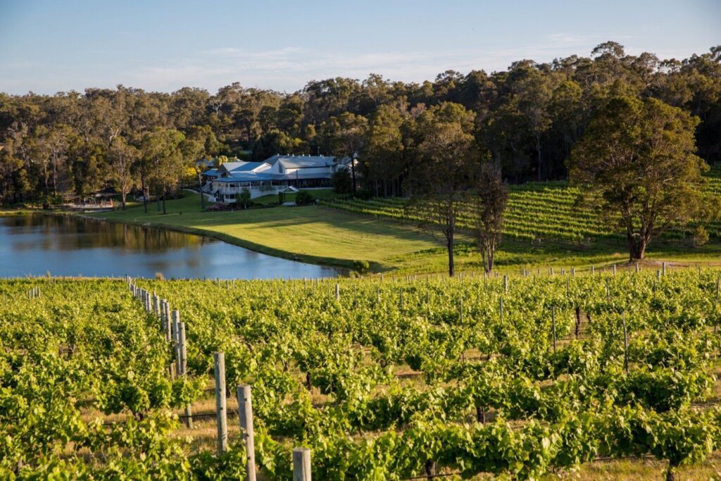 From Vineyards to Coastlines: The Allure of Margaret River