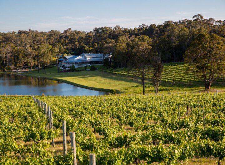 From Vineyards to Coastlines: The Allure of Margaret River