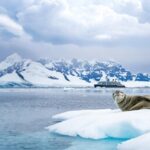 Discover Ultra-Luxury and Adventure: Seabourn’s Exciting 2027-2028 Voyages and Expeditions