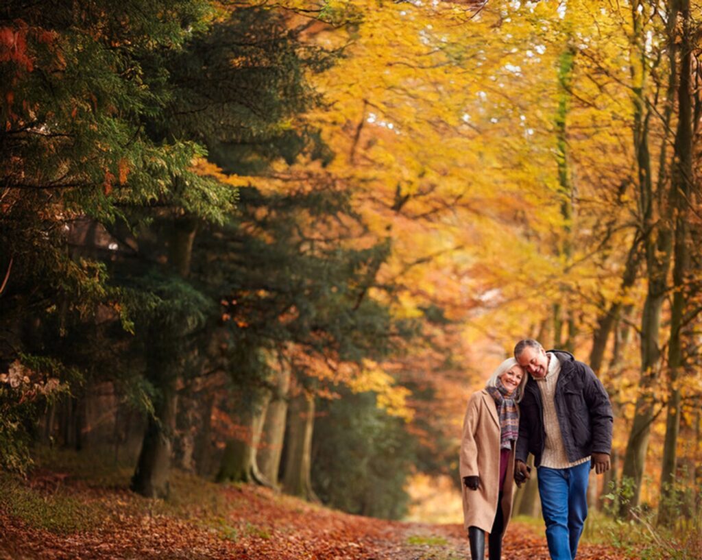 Princess Cruises Sets Sail with 17 Autumn Voyages in Canada & New England for 2027