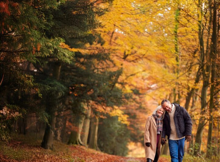 Princess Cruises Sets Sail with 17 Autumn Voyages in Canada & New England for 2027