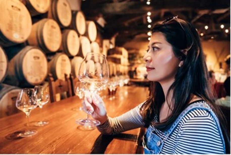 Princess Cruises Unveils Exciting New Mexican Riviera Shore Excursions for 2025–2026