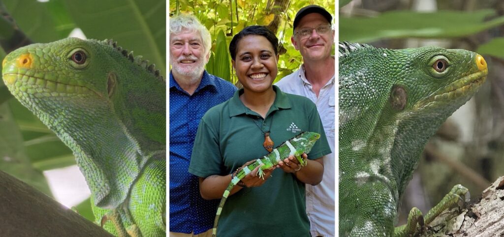 Six Senses Fiji Leads Fijian Crested Iguana Comeback with Landmark Translocation to Castaway Island