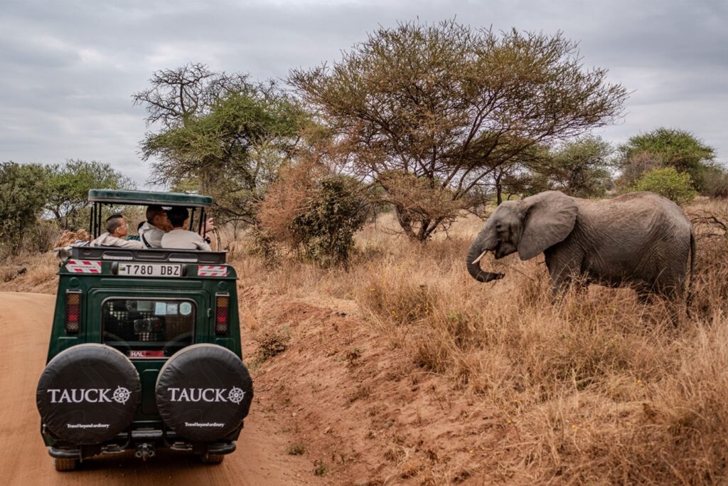 Tauck Unveils 2027 Global Journeys & Safaris as It Celebrates 25 Years of Life Changing African Adventures
