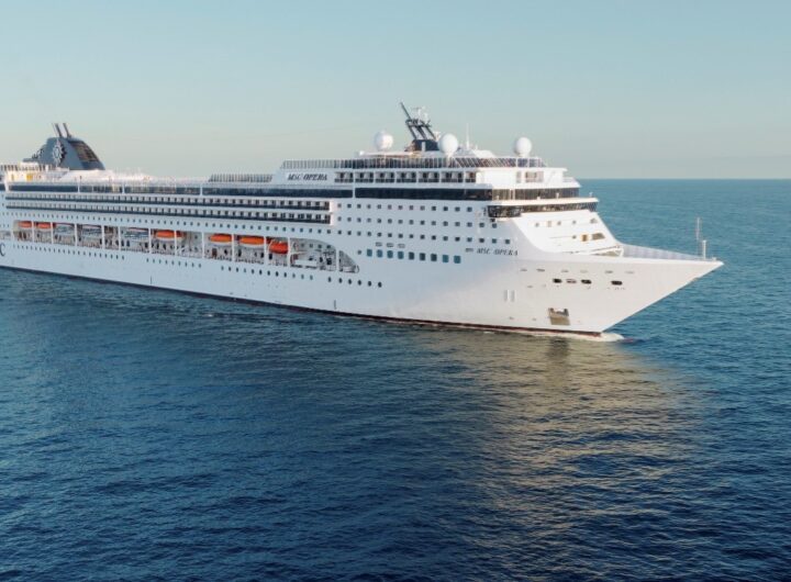 MSC To Elevate Catalina Island Beach Days From La Romana