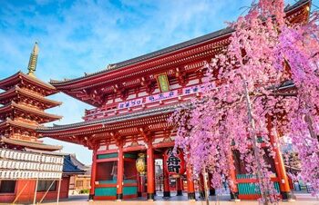 Viking Launches 15-Day Japan Discovery Cruise from Tokyo