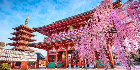 Viking Launches 15-Day Japan Discovery Cruise from Tokyo