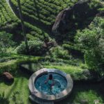 Exclusive Private Bungalow Escape at Ceylon Tea Trails